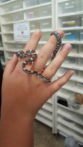 Pet Supply Store «Pet Bazaar», reviews and photos, 490 FL-436, Casselberry, FL 32707, USA