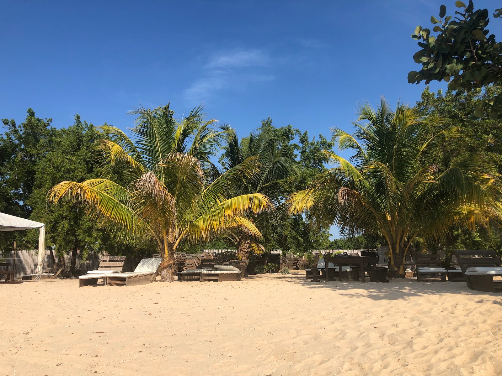 Bamboo Beach photo #8