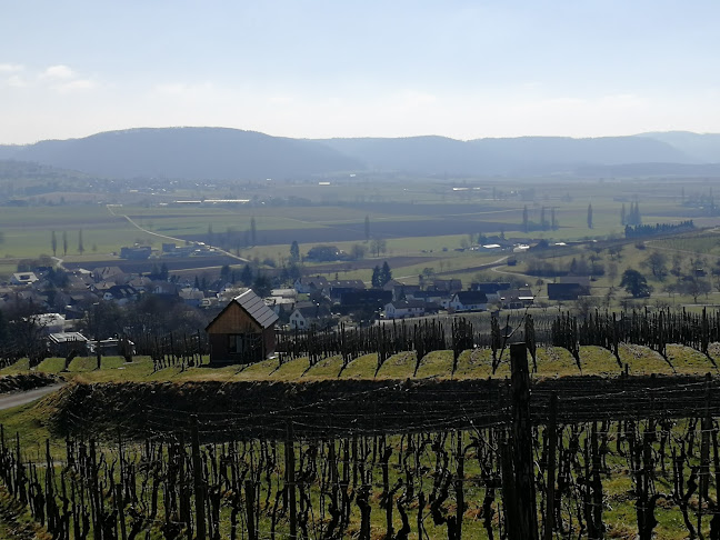 Rezensionen über Hallau, Atlingen in Neuhausen am Rheinfall - Andere