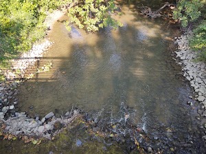 Cumberland Park - photo 21