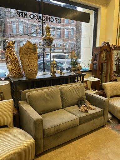 Thrift Store «New Elephant Resale Shop Of Chicago, NFP», reviews and photos, 2325 N Clark St, Chicago, IL 60614, USA
