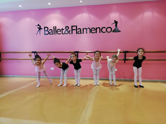 Ballet & Flamenco, Dance and Fitness Studio