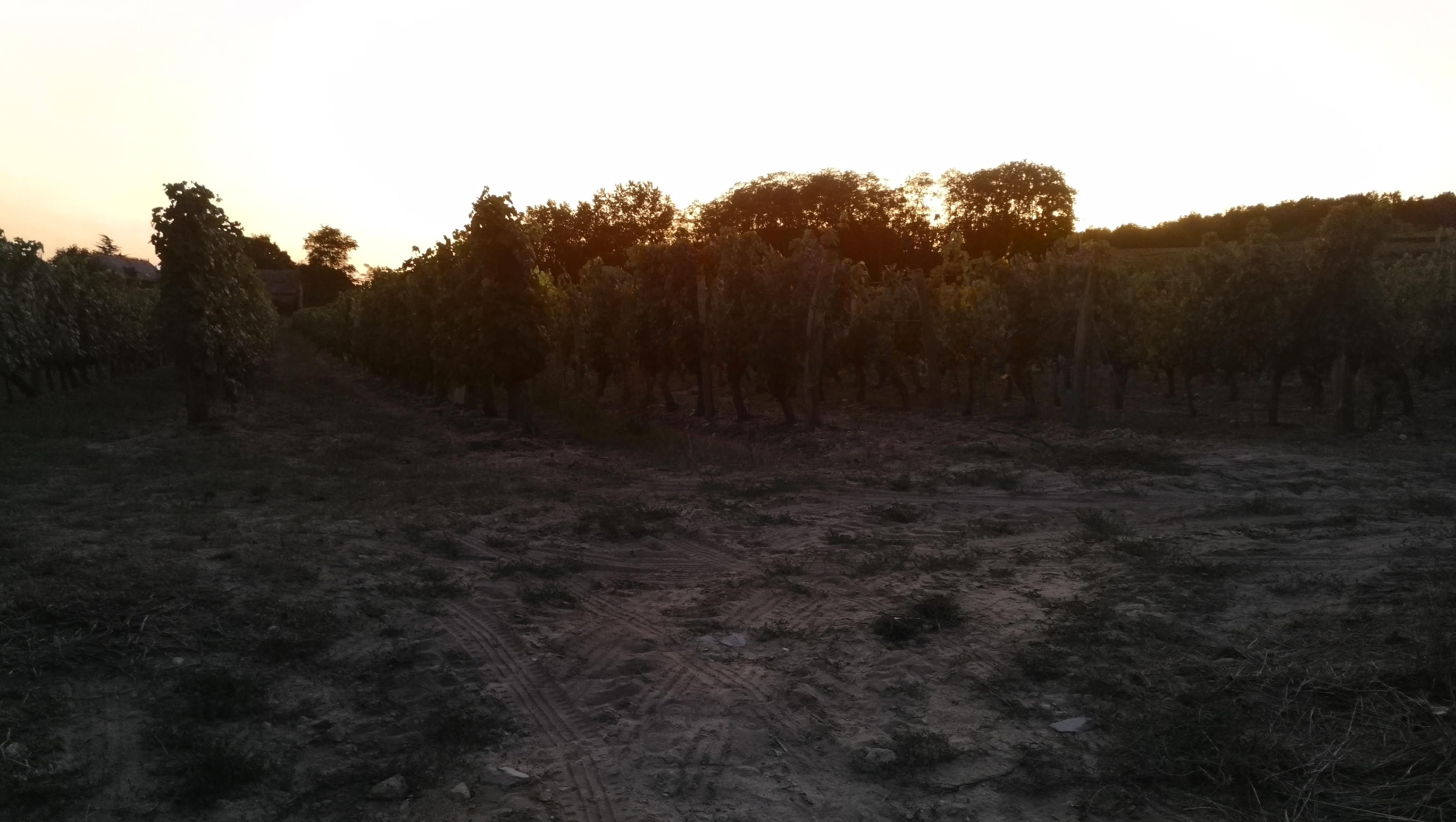Photo n° 5 de l'avis de Delphine.e fait le 14/09/2019 à 22:02