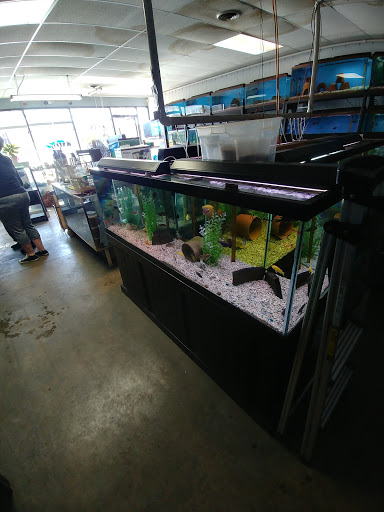 Golden Fish Aquariums