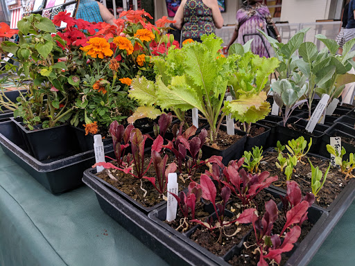 Event Venue «Fourth Street Live!», reviews and photos, 400 S 4th St, Louisville, KY 40202, USA