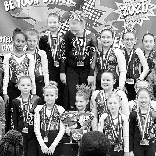 Gymnastics Center «Gymnastic Dreams», reviews and photos, 12830 Wayne Rd, Livonia, MI 48150, USA