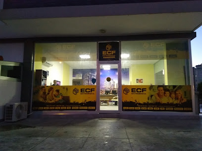 ECF Gayrimenkul Emlak Ofisi