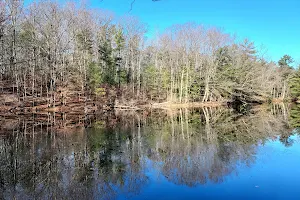 Clear Springs Nature Preserve image