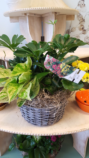 Florist «Infinity Floral», reviews and photos, 227 Central Ave, Osseo, MN 55369, USA