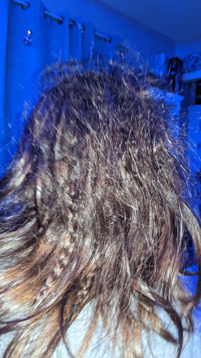 Pet Supply Store «Pet Supplies Plus», reviews and photos, 5348 Dixie Hwy, Waterford Twp, MI 48329, USA