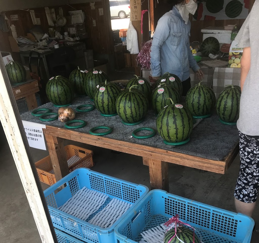 財津スイカ直売所