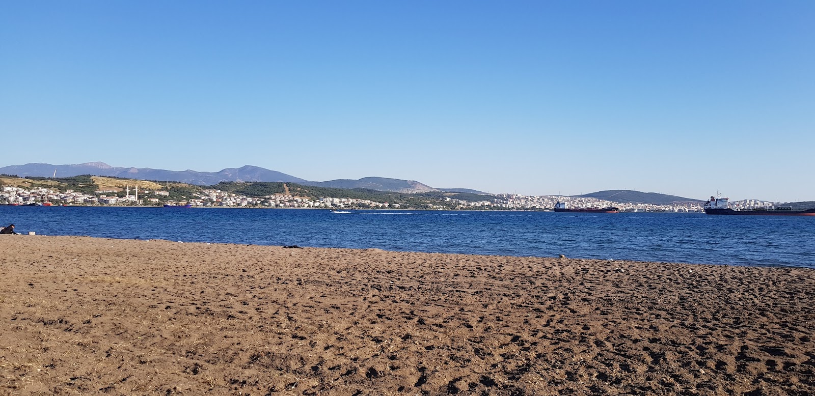 Zdjęcie Aliaga beach z poziomem czystości głoska bezdźwięczna