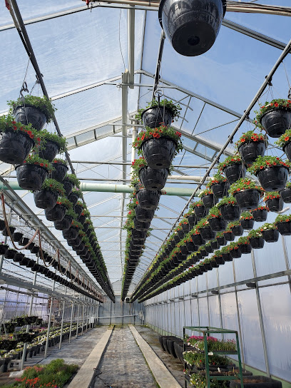 High Q Greenhouses ( 2021) Ltd.