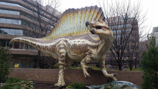 Museum «National Geographic Museum», reviews and photos, 1145 17th Street NW, Washington, DC 20036, USA