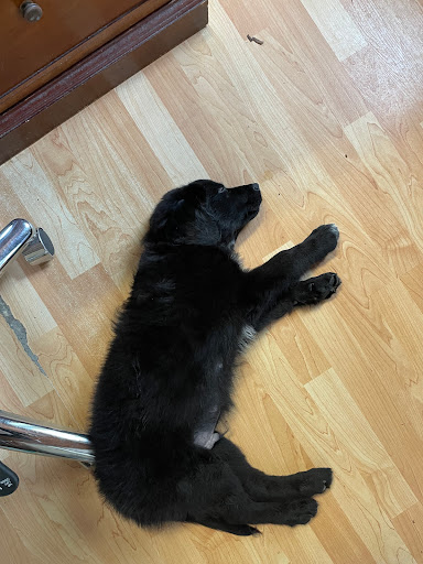 Real Estate Agency «Aparo-Griffin Properties», reviews and photos, 1409 E New York Ave, DeLand, FL 32724, USA