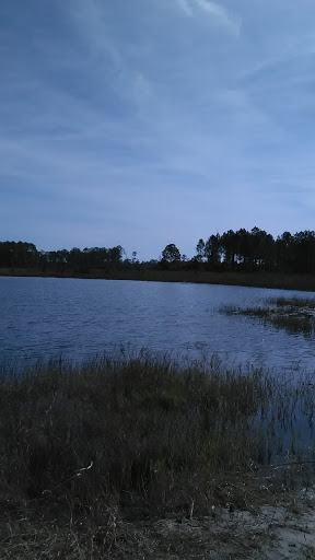 National Forest «Ocala National Forest», reviews and photos, 40929 FL-19, Umatilla, FL 32784, USA