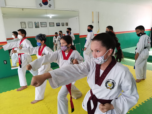 Taekwondo MDK Atemajac