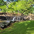 Liliʻuokalani Botanical Garden