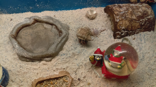 Pet Supply Store «PetSmart», reviews and photos, 3500 IN-38, Lafayette, IN 47905, USA