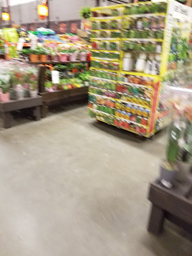 Home Improvement Store «The Home Depot», reviews and photos, 75-09 Woodhaven Blvd, Glendale, NY 11385, USA