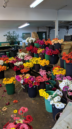 Florist «Dillon Floral Corporation», reviews and photos, 933 Columbia Blvd, Bloomsburg, PA 17815, USA