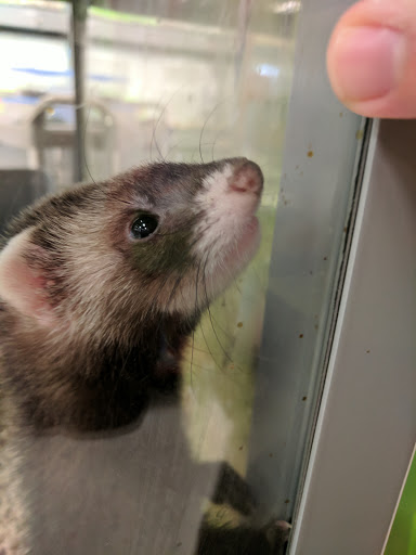 Pet Supply Store «Petco Animal Supplies», reviews and photos, 861 Williston Rd, South Burlington, VT 05403, USA