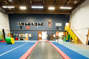 School of Acrobatics and New Circus Arts