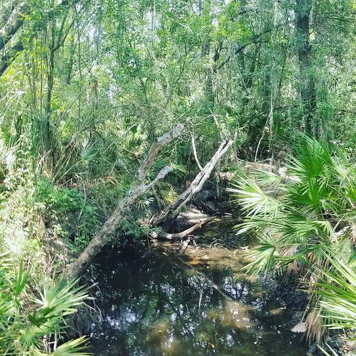 Public Golf Course «Summerfield Crossings Golf Club», reviews and