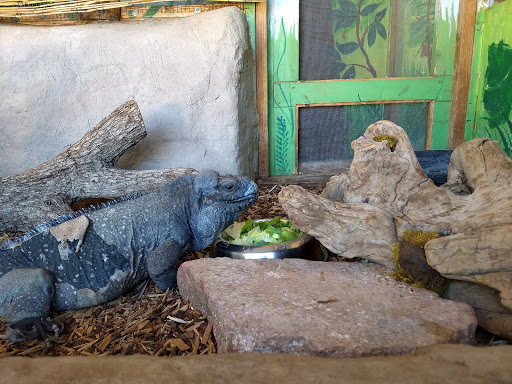 Zoo «Heritage Park Zoological Sanctuary», reviews and photos, 1403 Heritage Park Rd, Prescott, AZ 86301, USA