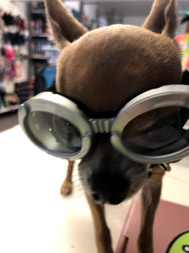 Pet Supply Store «Sonoma Pet and Aquatics», reviews and photos, 201 W Napa St #7, Sonoma, CA 95476, USA