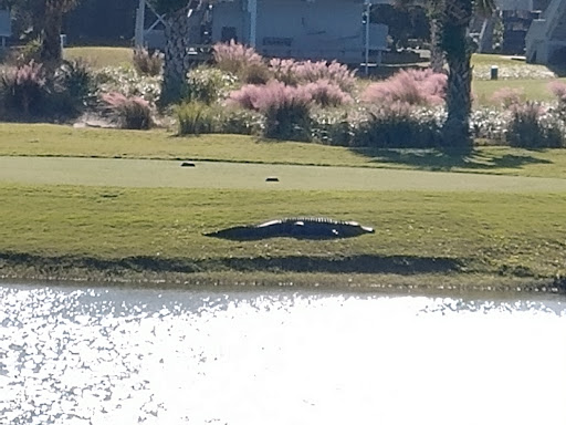 Country Club «Bald Head Island Club», reviews and photos, Salt Meadow Trail, Southport, NC 28461, USA