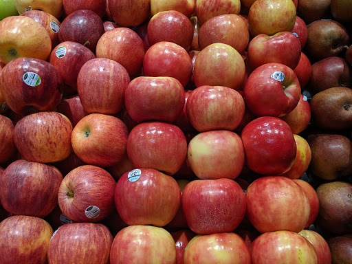 Grocery Store «Food Lion», reviews and photos, 46 Madison Plaza Dr, Madison, VA 22727, USA