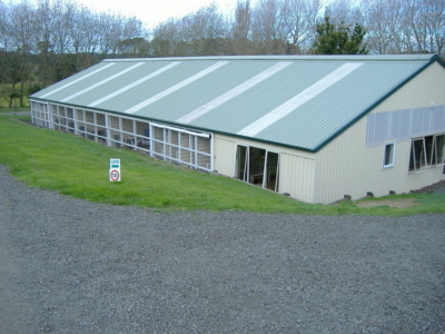Redvale Boarding Cattery