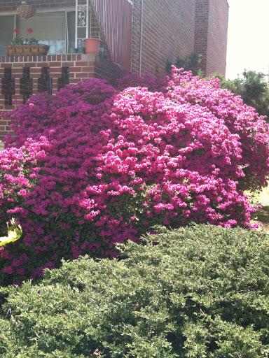 Golf Club «Dyker Beach Golf Course», reviews and photos, 1030 86th St & 7th Ave, Brooklyn, NY 11228, USA