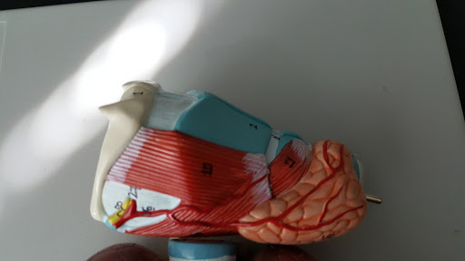 Book Store «Chattahoochee Technical College Bookstore», reviews and photos, 980 S Cobb Dr, Marietta, GA 30060, USA