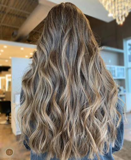 Beauty Salon «Salon Bliss», reviews and photos, 1126 S Rochester Rd, Rochester Hills, MI 48307, USA