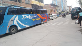 Transportes Delgado Rodriguez - TDR