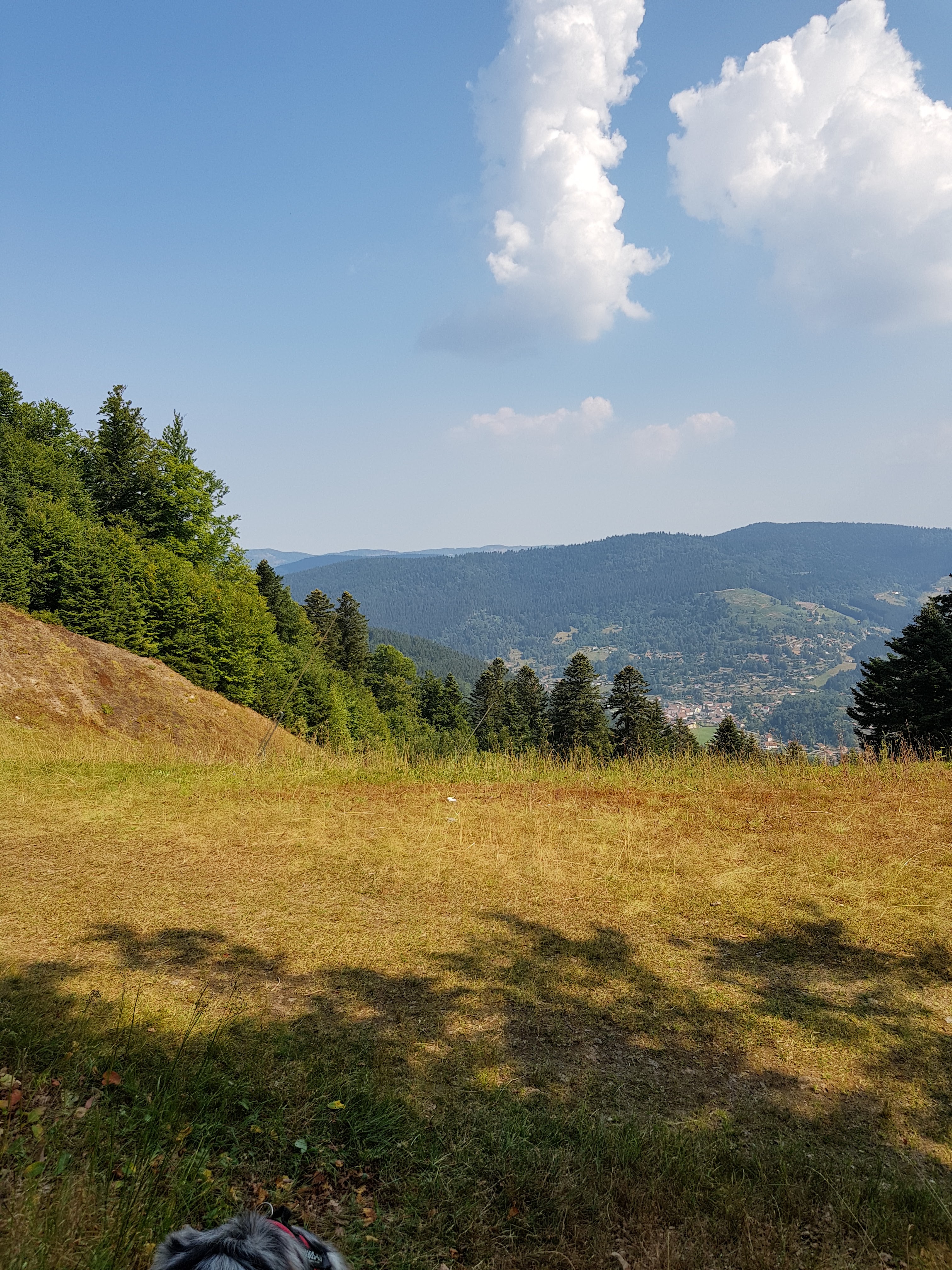 Photo n° 2 de l'avis de Brigitte.I fait le 24/08/2018 à 06:19
