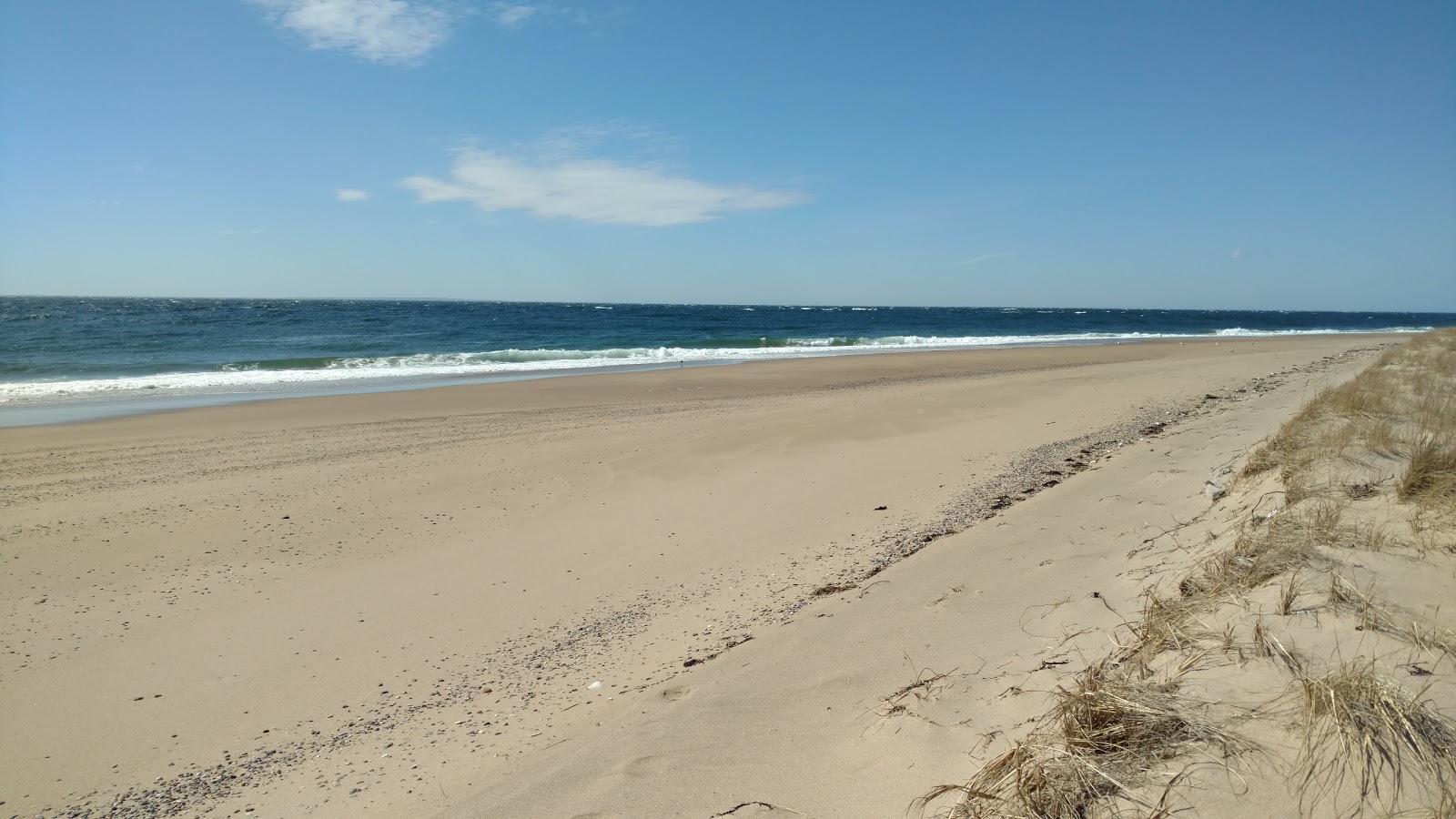 Foto av Long Point beach med hög nivå av renlighet