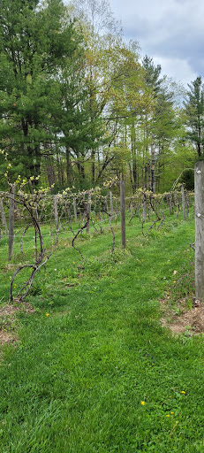 Vineyard «Di Grazia Vineyards & Winery», reviews and photos, 131 Tower Rd, Brookfield, CT 06804, USA