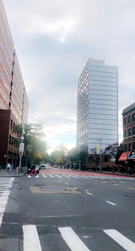 Movie Theater «Jamaica Multiplex Cinemas», reviews and photos, 15902 Jamaica Ave, Jamaica, NY 11432, USA