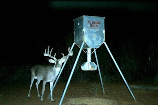 Manufacturer «All Seasons Feeders», reviews and photos, 8424 US Hwy 87 E, San Antonio, TX 78263, USA