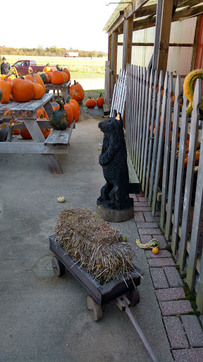 Produce Market «Welsh Heritage Farms», reviews and photos, 20758 528th Ave, Lake Crystal, MN 56055, USA