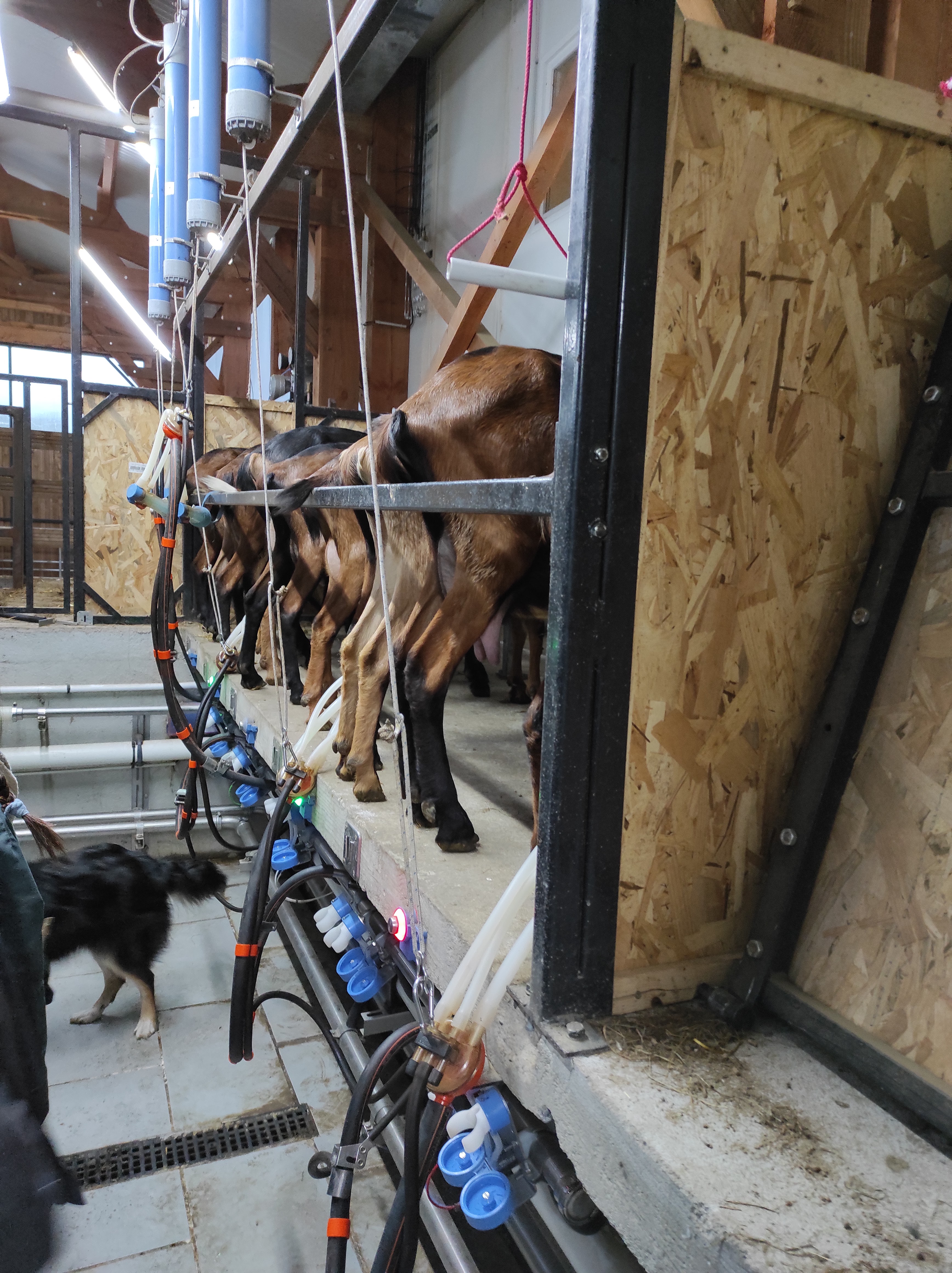 Photo n° 3 de l'avis de Laurent.i fait le 04/11/2021 à 18:05