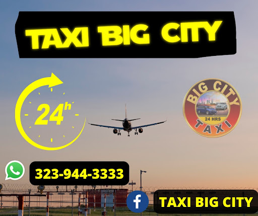 LAX Taxi Big City