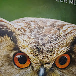 Photo n°2 de l'avis de Uwe.� fait le 13/02/2023 à 12:57 sur le  ibis Styles Muenchen Perlach à Munich