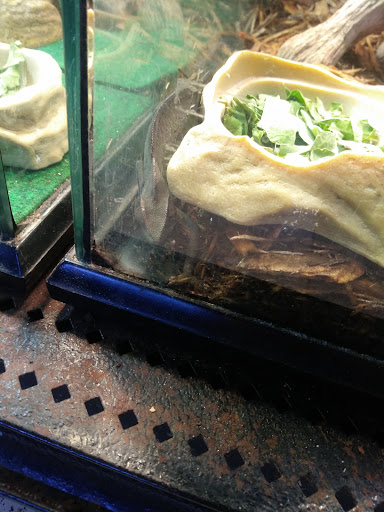 Pet Store «Petland», reviews and photos, 351 Diederich Blvd, Ashland, KY 41101, USA