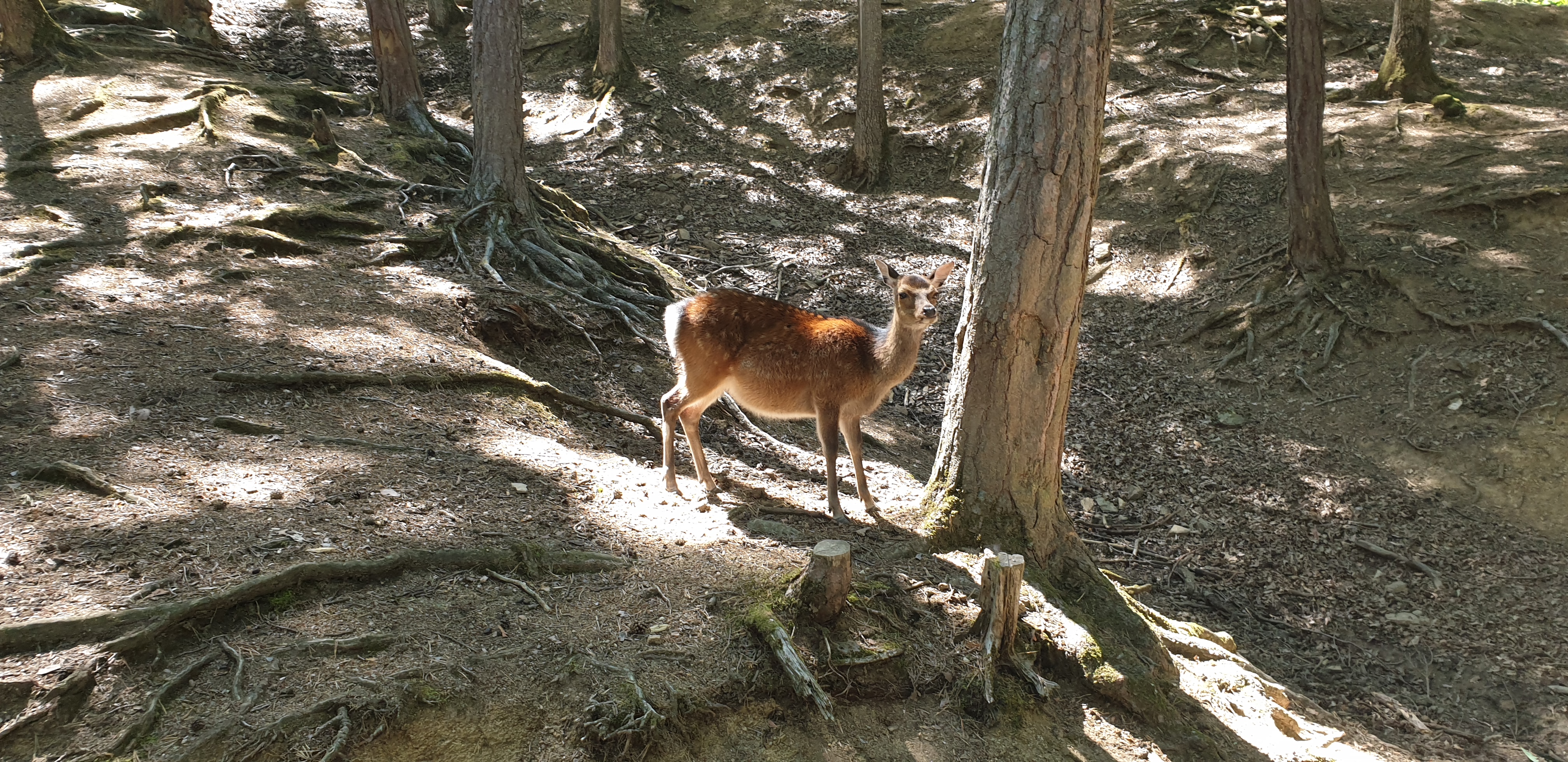 Photo n° 6 de l'avis de William.e fait le 29/07/2019 à 16:36