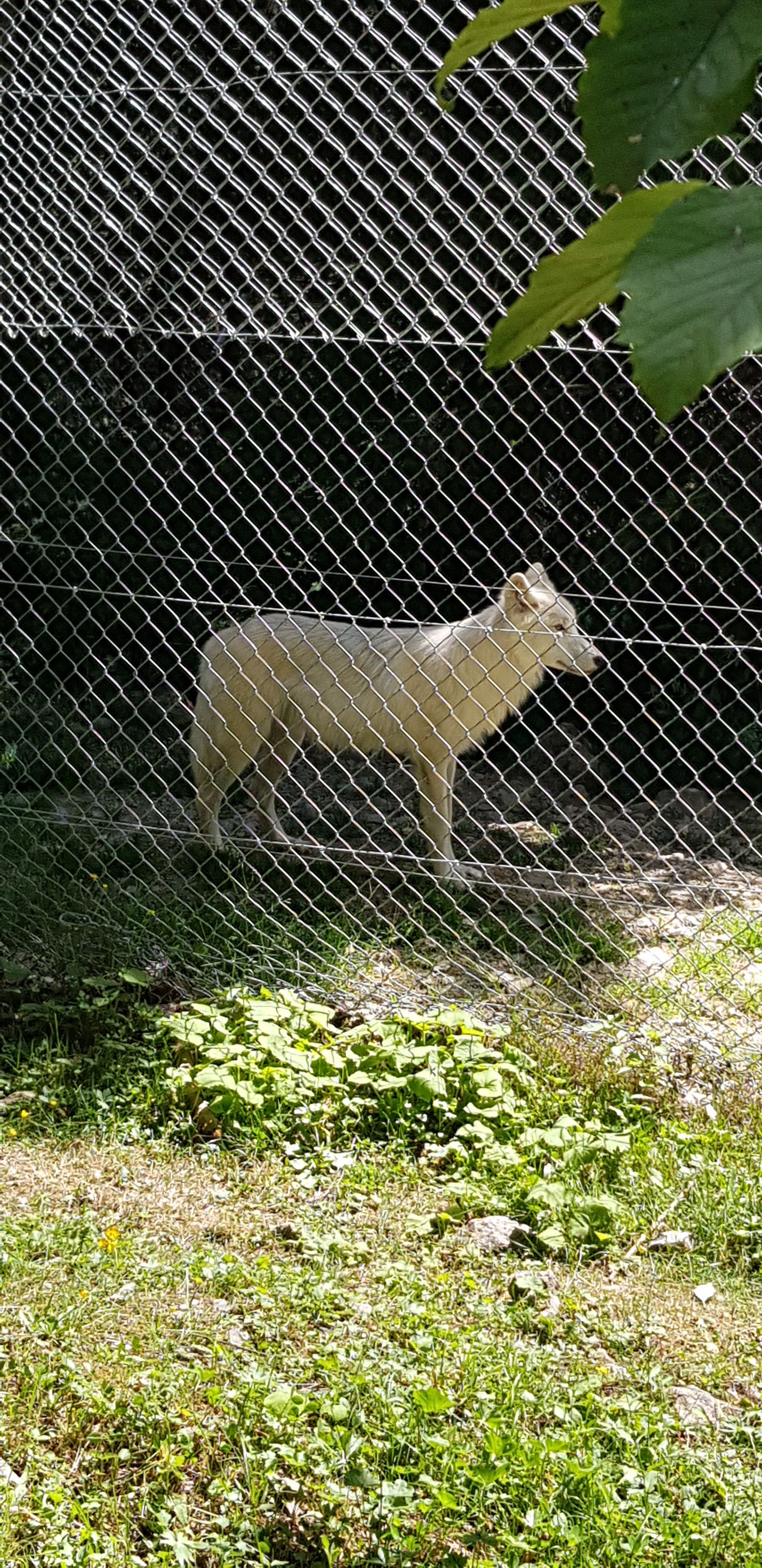 Photo n° 5 de l'avis de Valérie.n fait le 10/08/2020 à 17:42