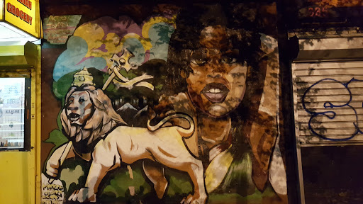 Wine Store «Bed-Vyne Wine & Spirits», reviews and photos, 370 Tompkins Ave, Brooklyn, NY 11216, USA